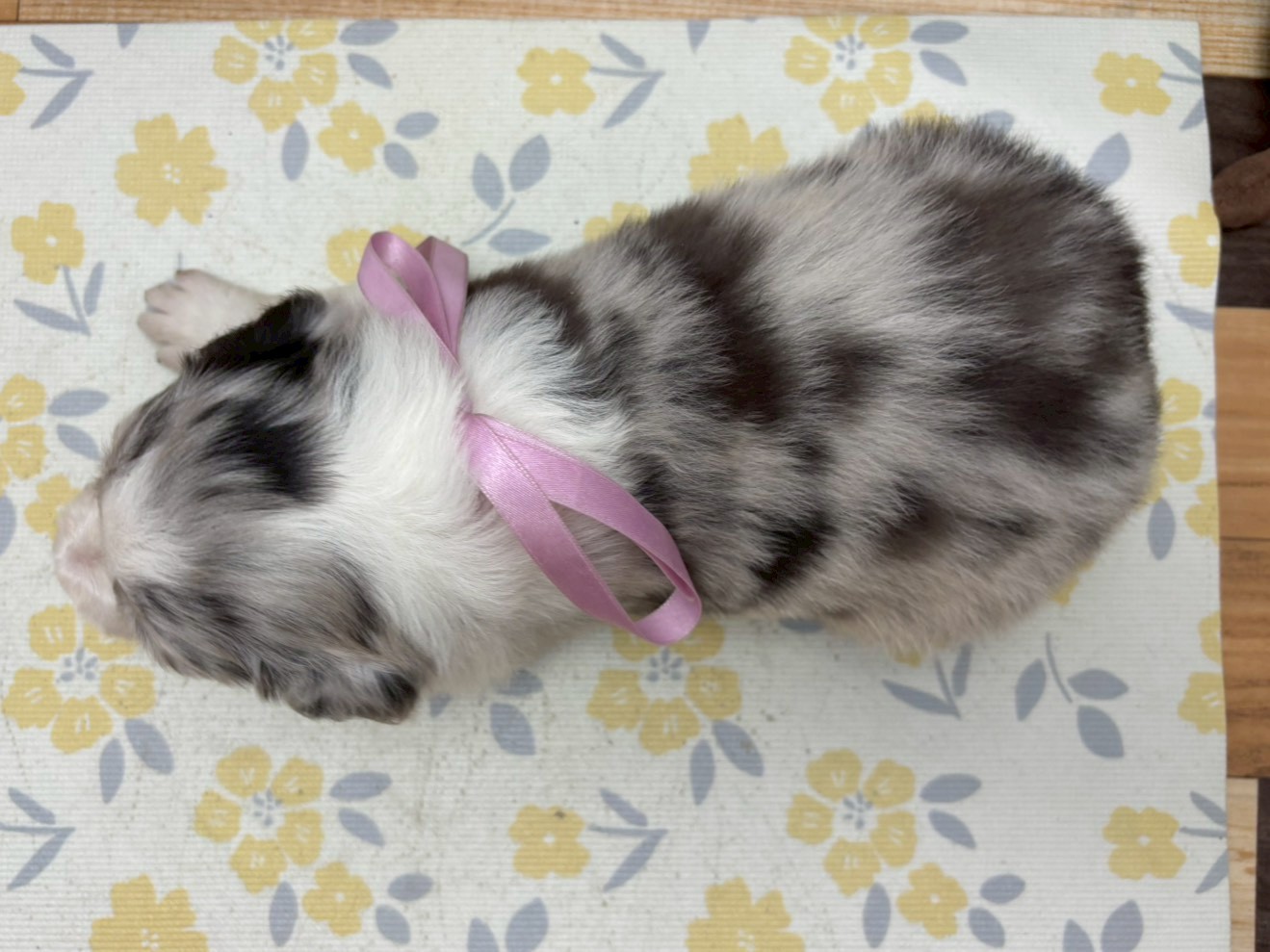 赤ちゃん写真2-3