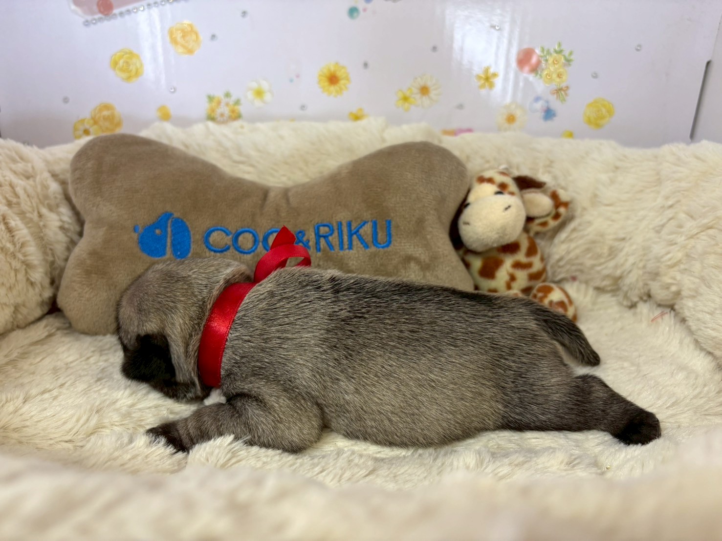 赤ちゃん写真1-2