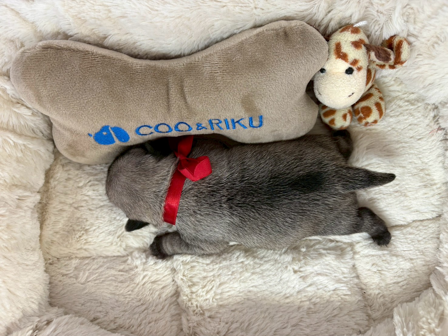 赤ちゃん写真1-3