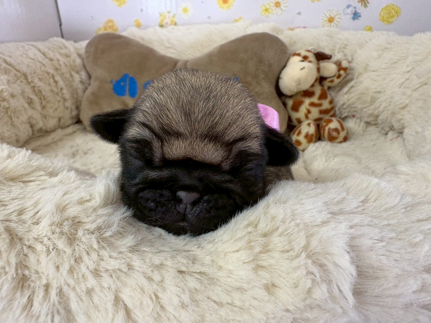 赤ちゃん写真1-1