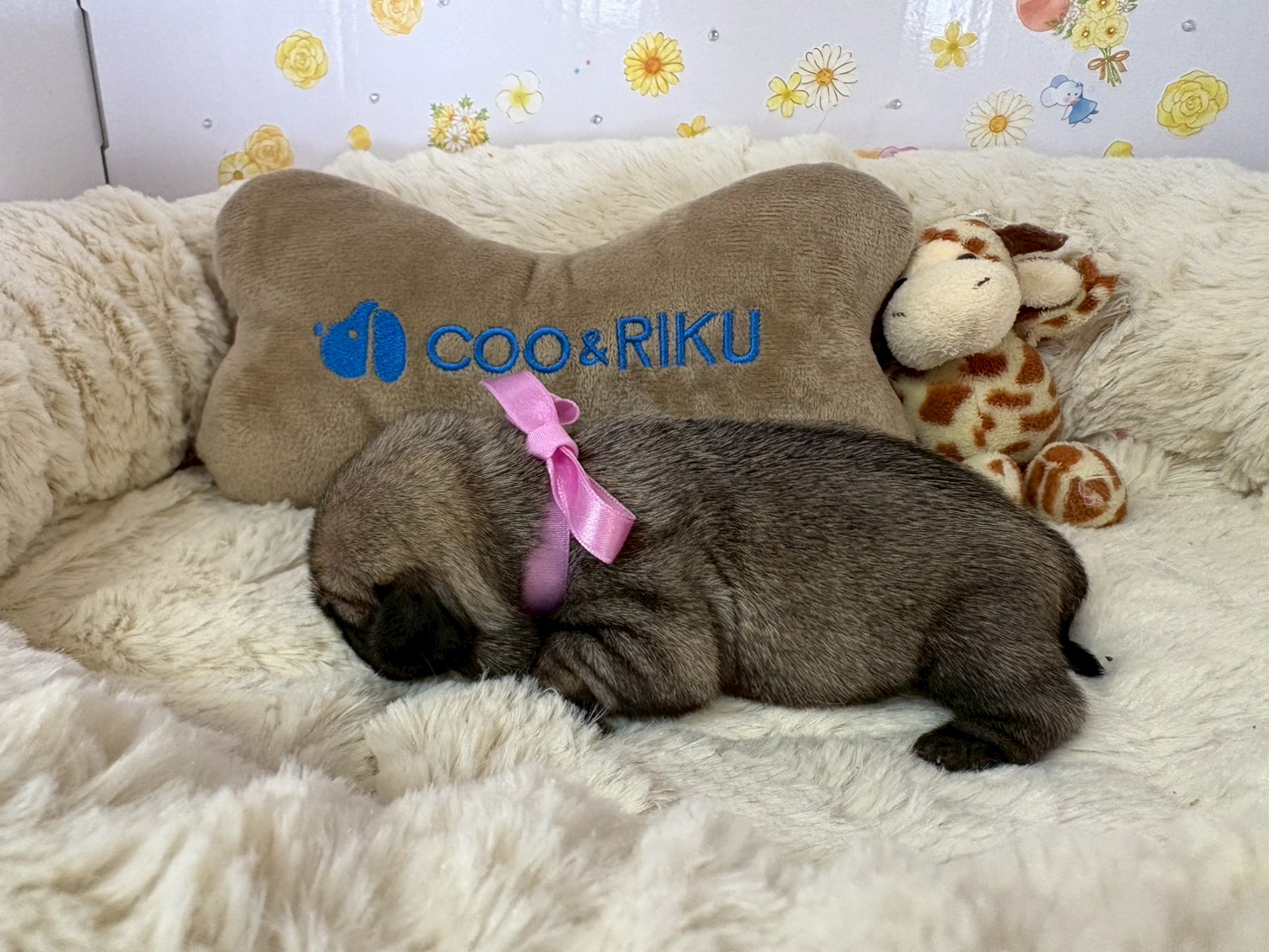 赤ちゃん写真1-2
