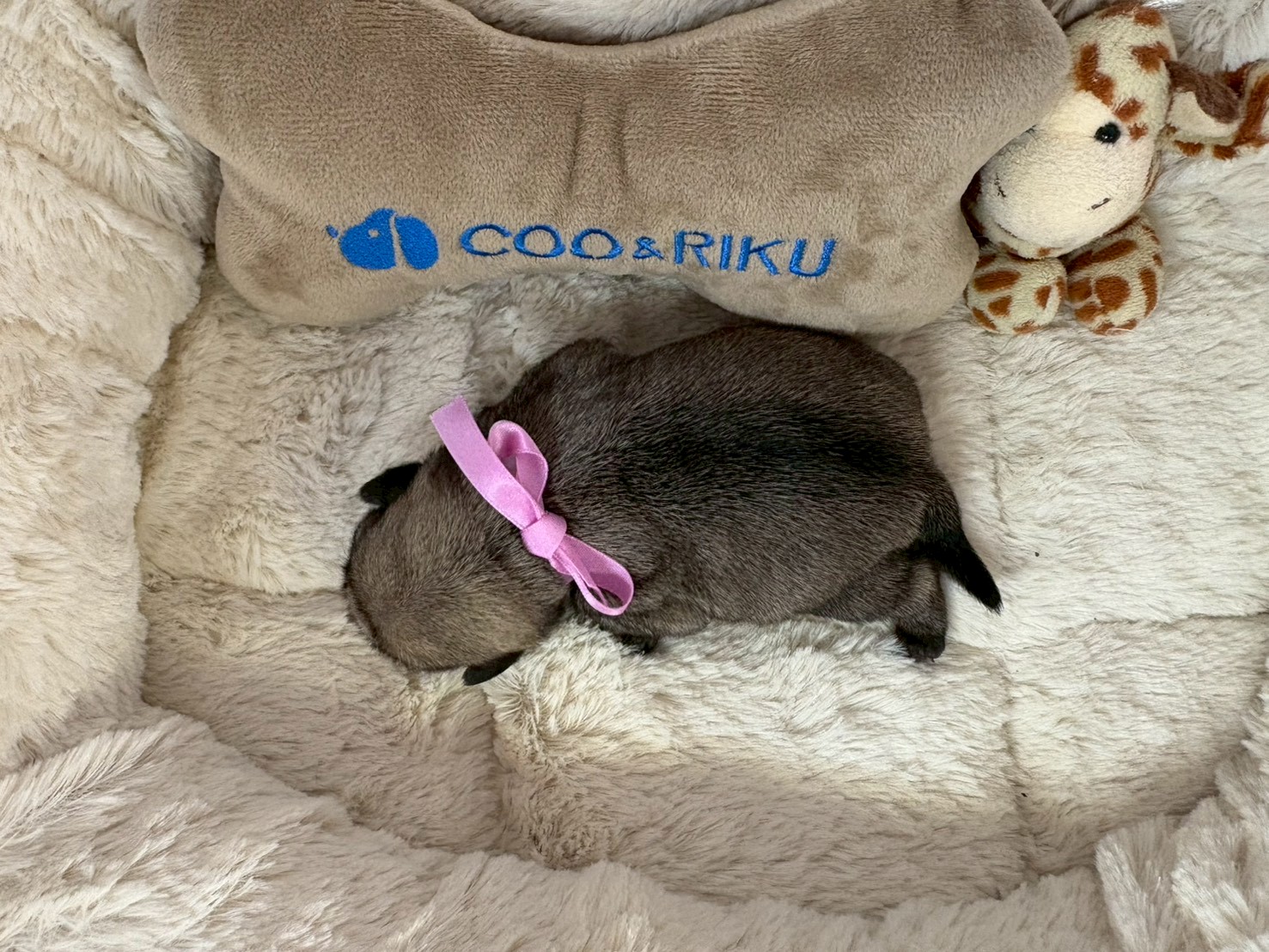 赤ちゃん写真1-3