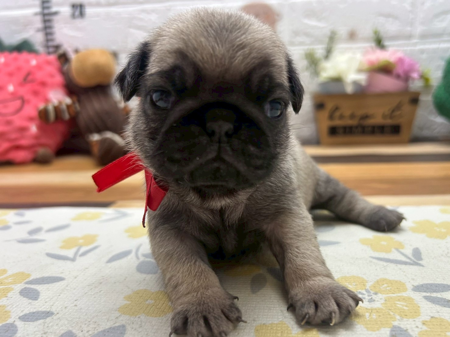 赤ちゃん写真2-1