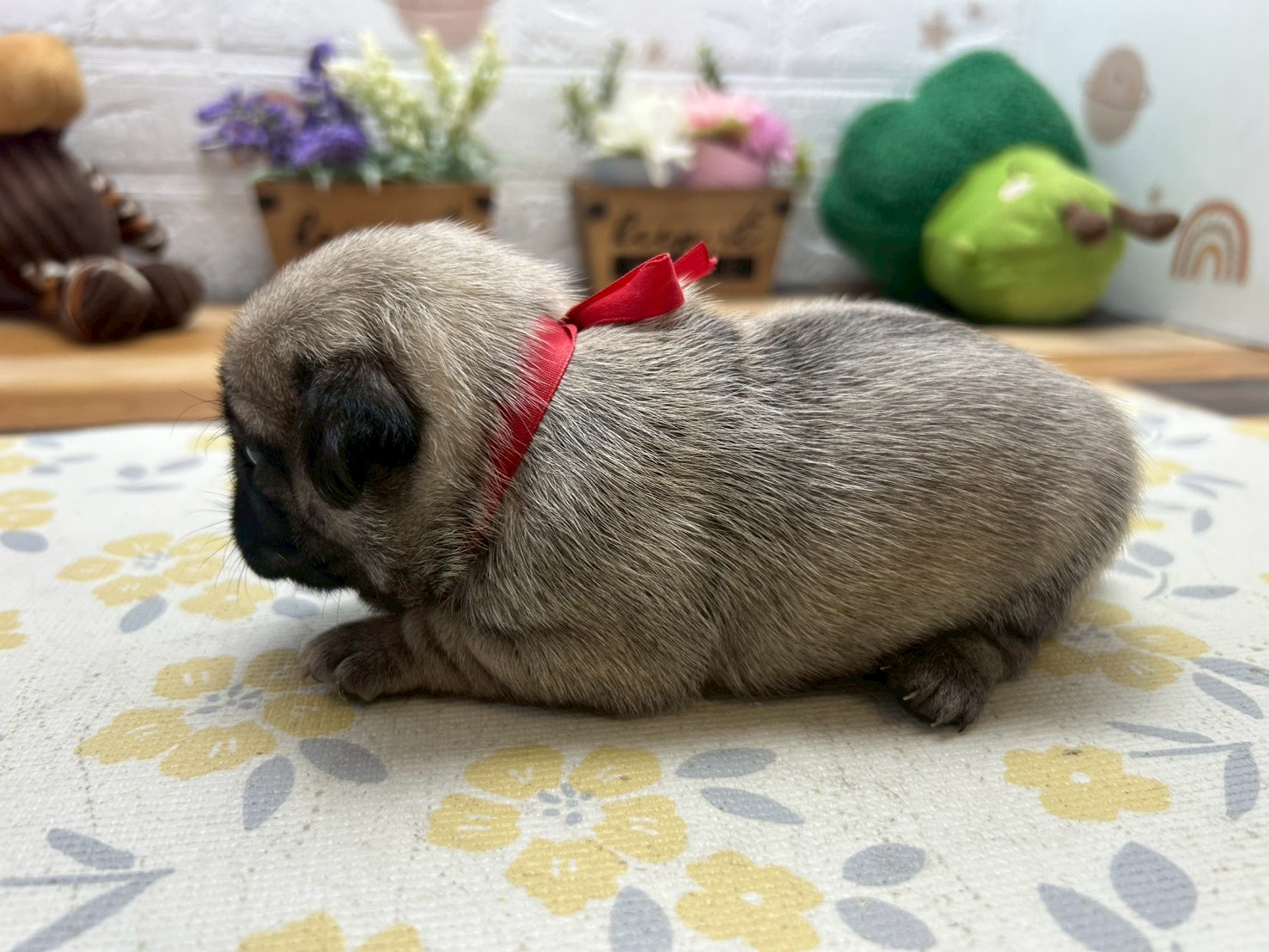 赤ちゃん写真2-2