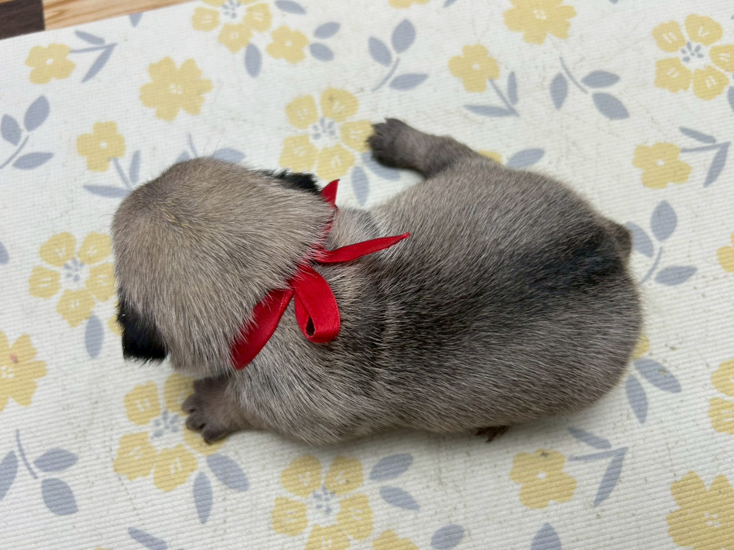 赤ちゃん写真2-3