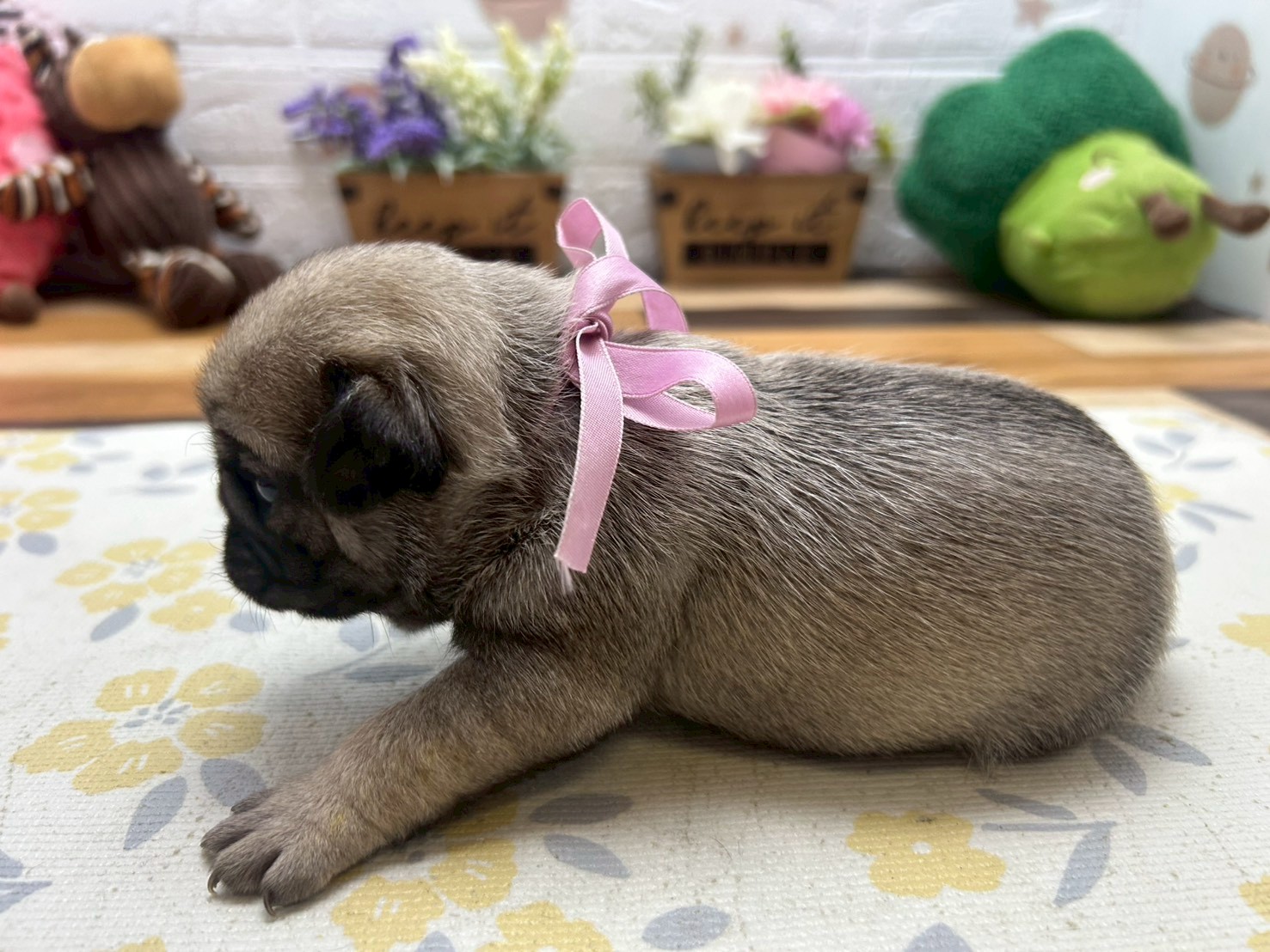 赤ちゃん写真2-2