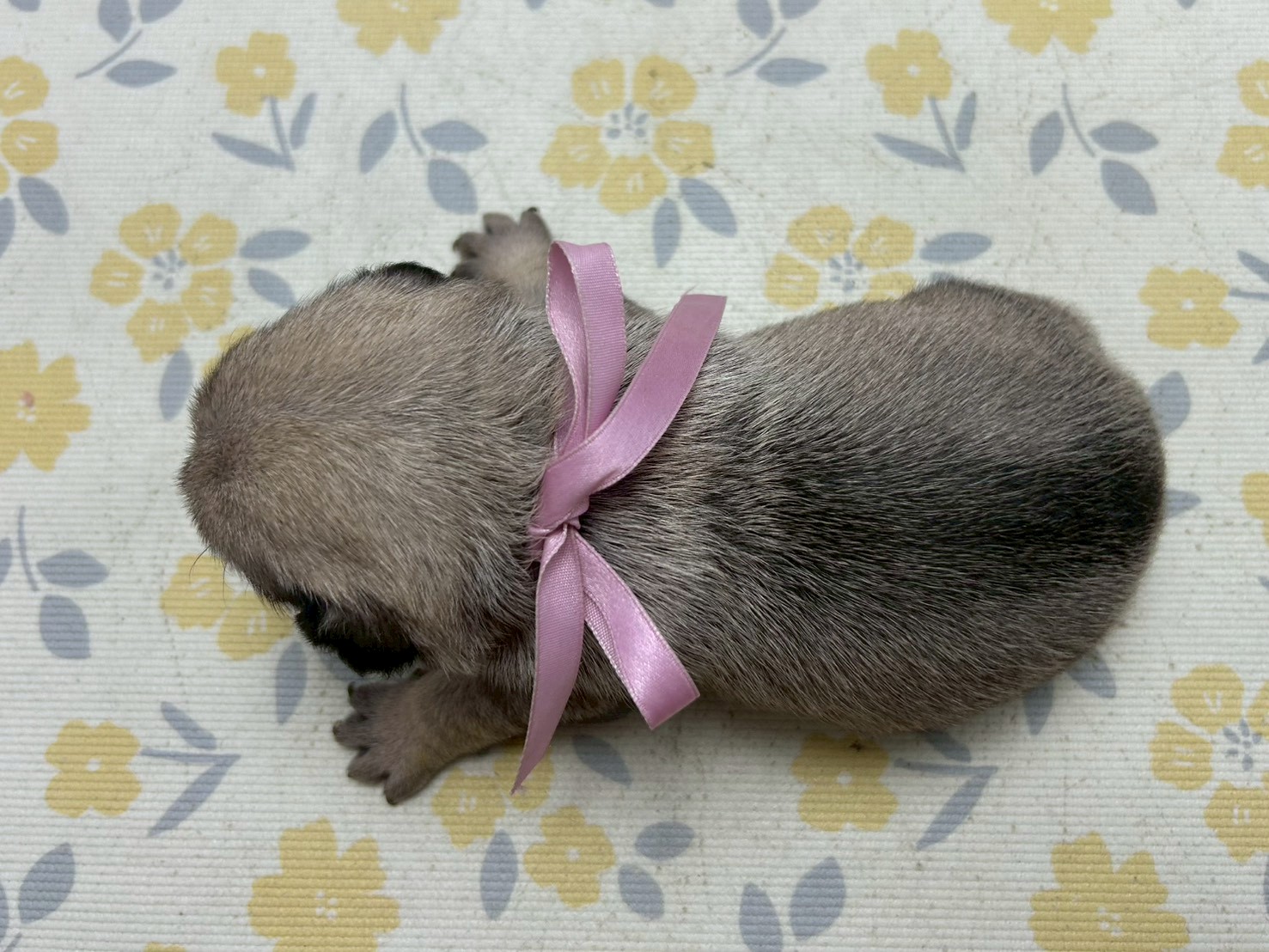赤ちゃん写真2-3