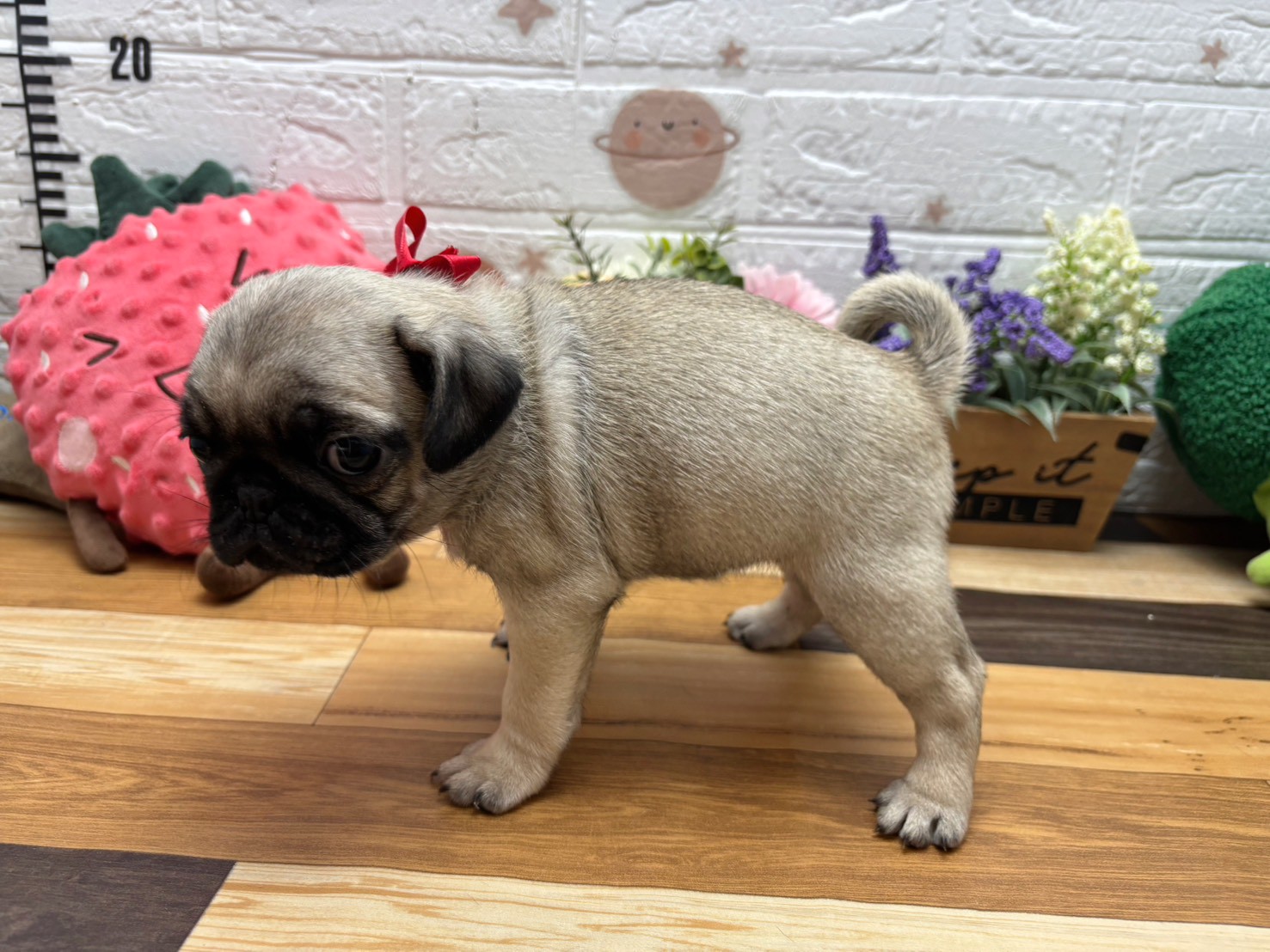 赤ちゃん写真3-2