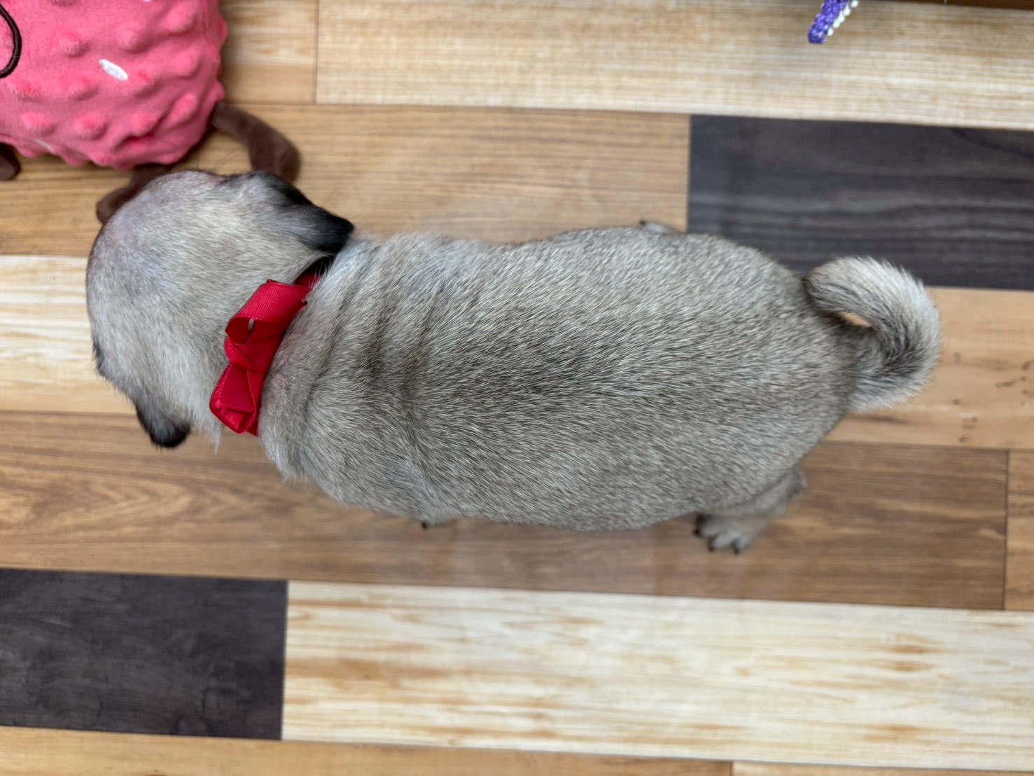 赤ちゃん写真3-3