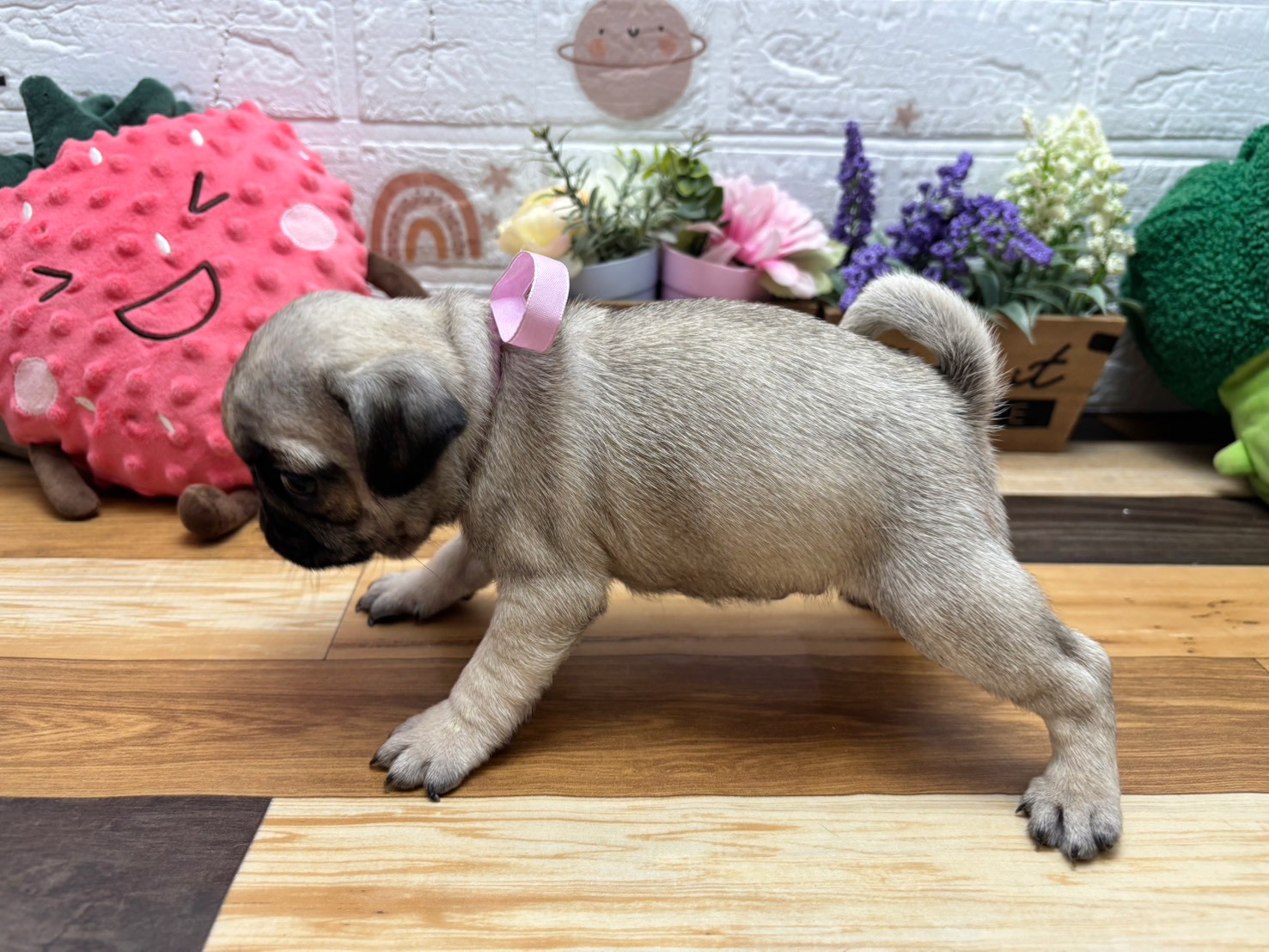 赤ちゃん写真3-2