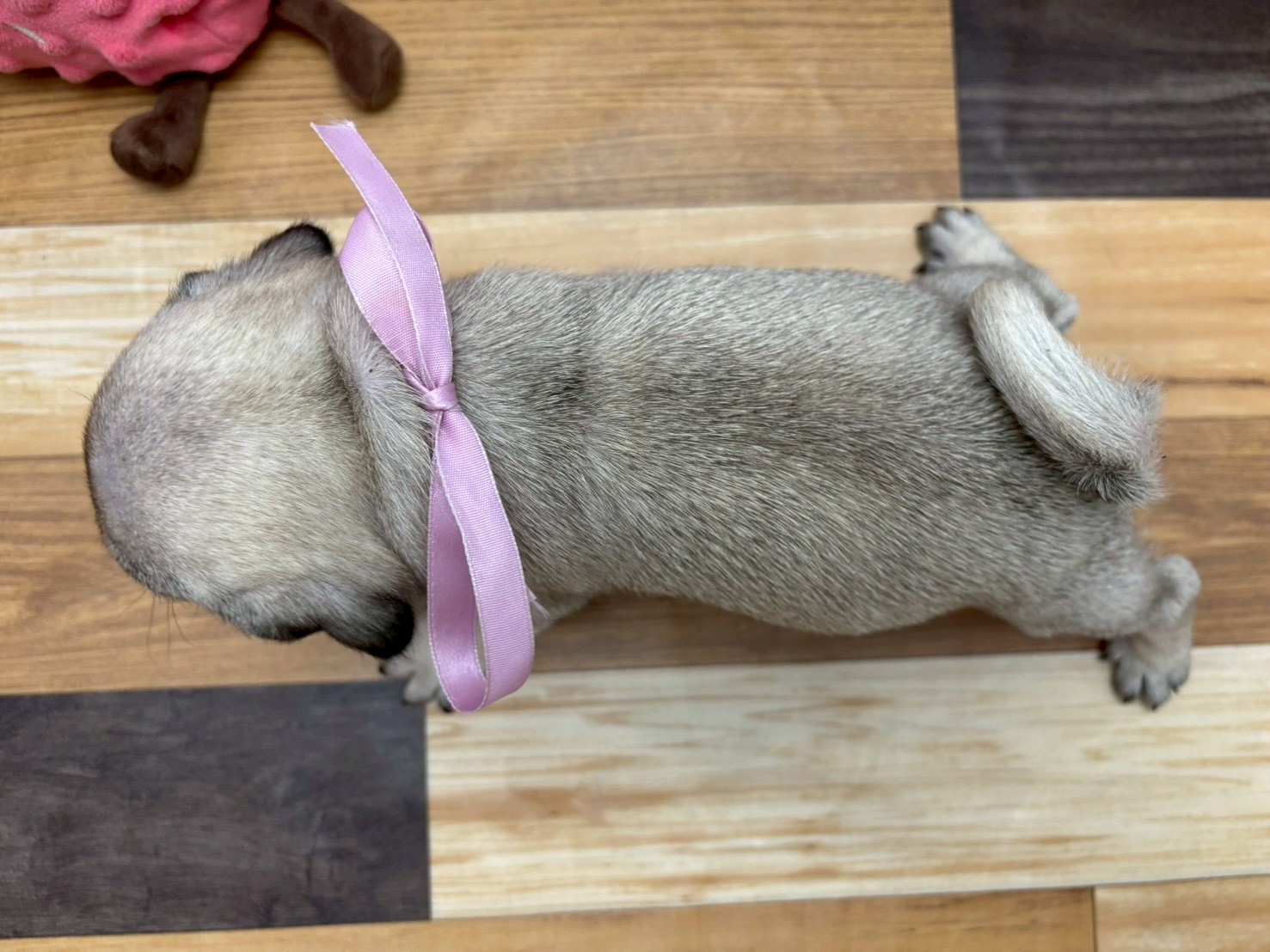 赤ちゃん写真3-3