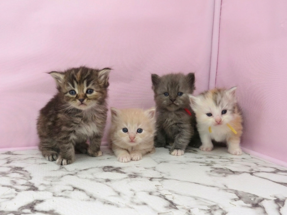 赤ちゃん写真2-3