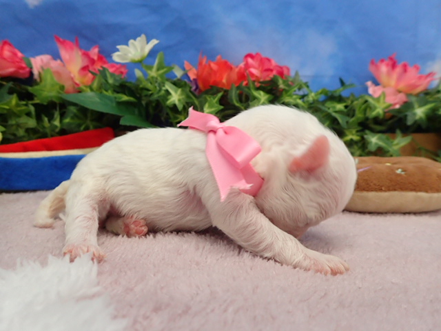 赤ちゃん写真1-2