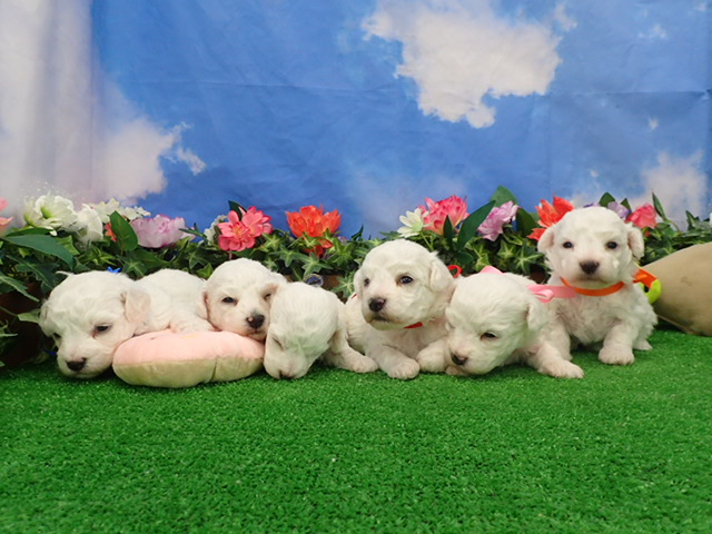 赤ちゃん写真2-3