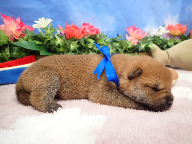 赤ちゃん写真1-2