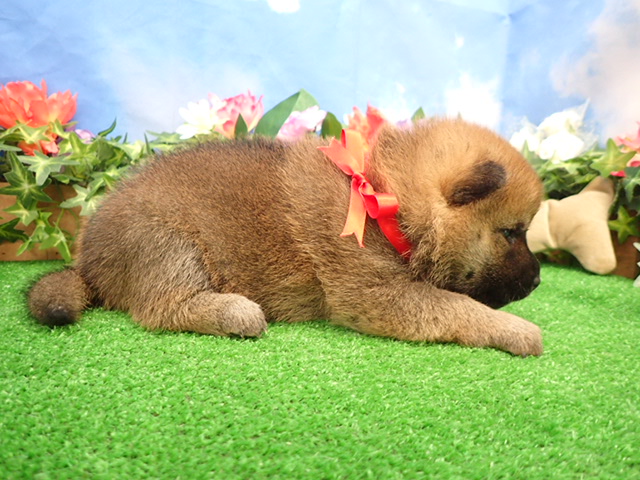 赤ちゃん写真2-2