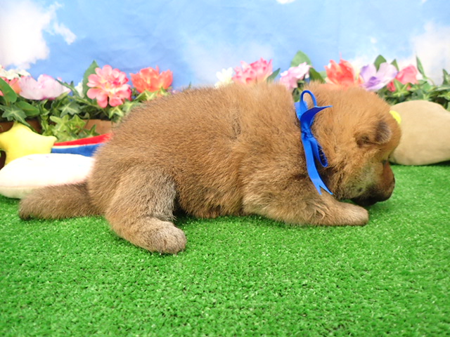 赤ちゃん写真2-2