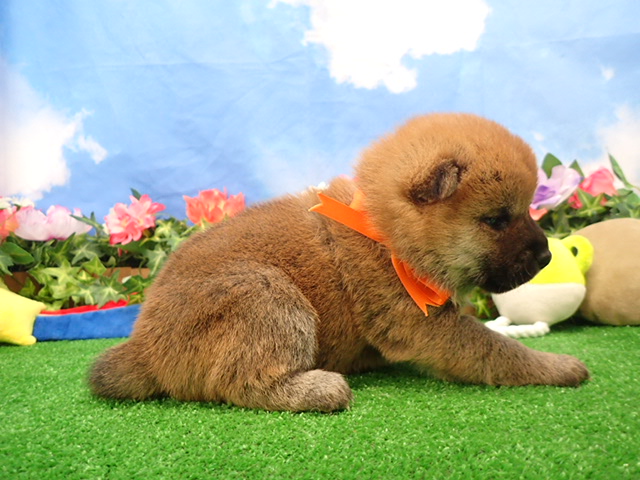 赤ちゃん写真2-2