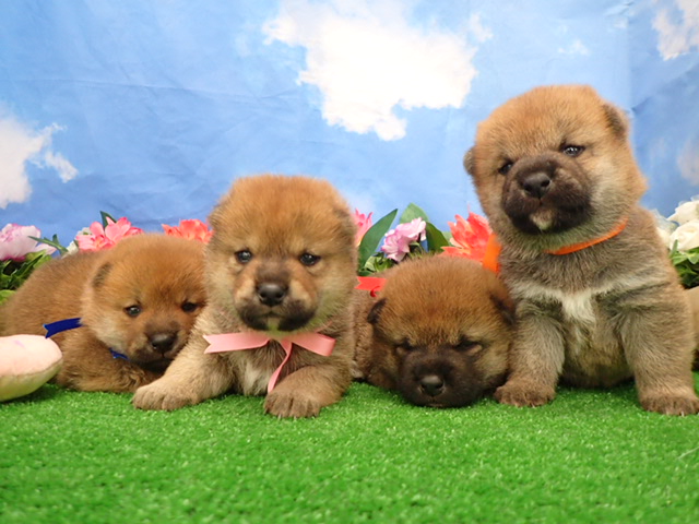 赤ちゃん写真2-3