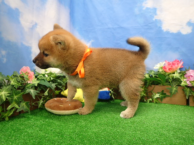 赤ちゃん写真3-2