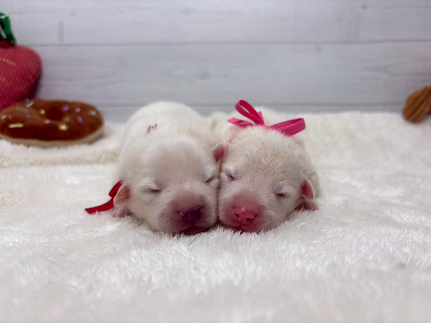 赤ちゃん写真1-3