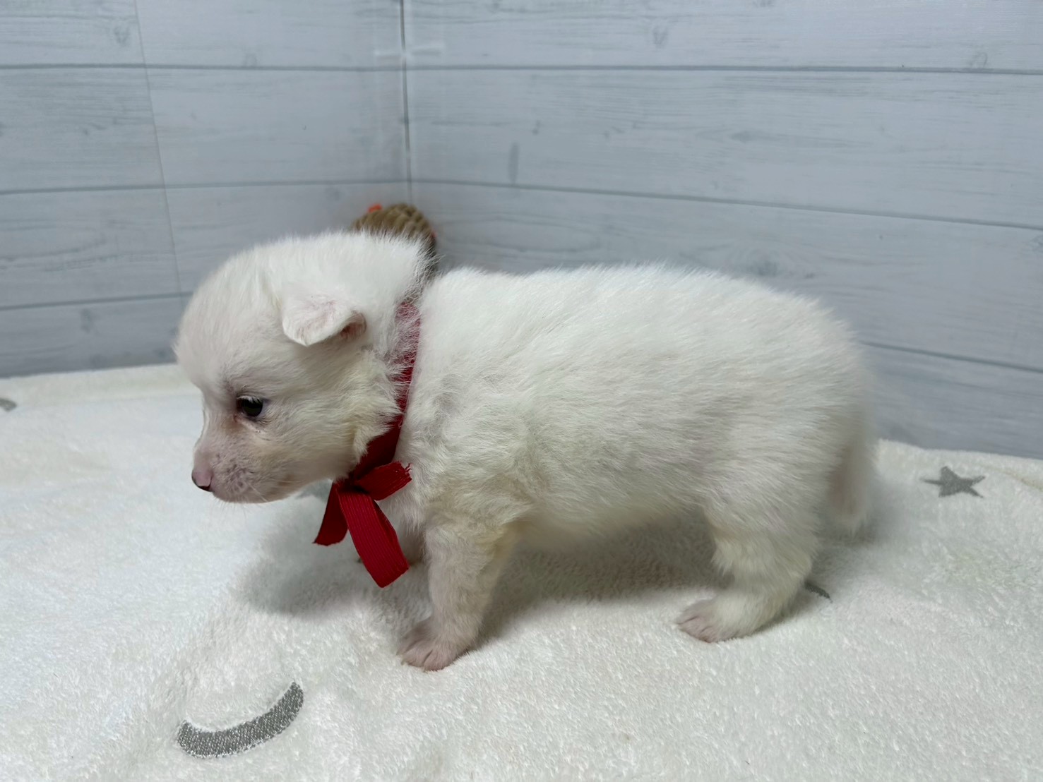 赤ちゃん写真2-2