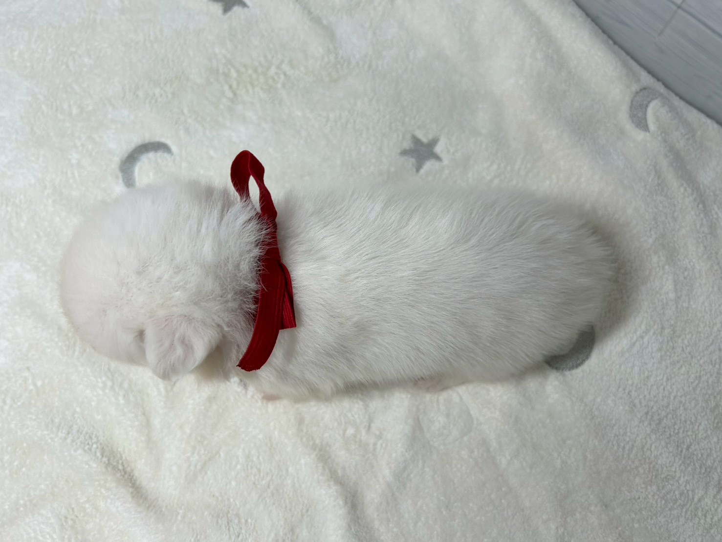 赤ちゃん写真2-3