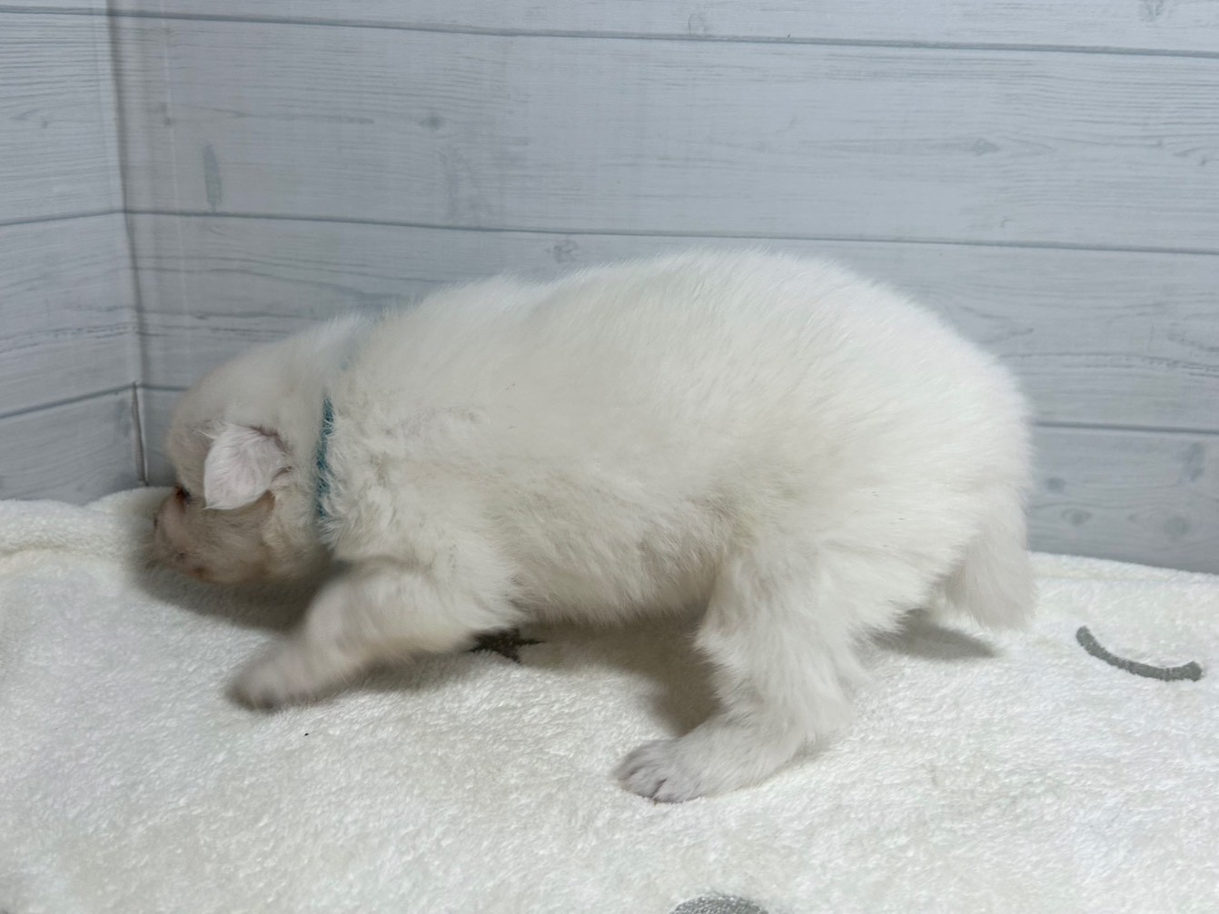 赤ちゃん写真2-2