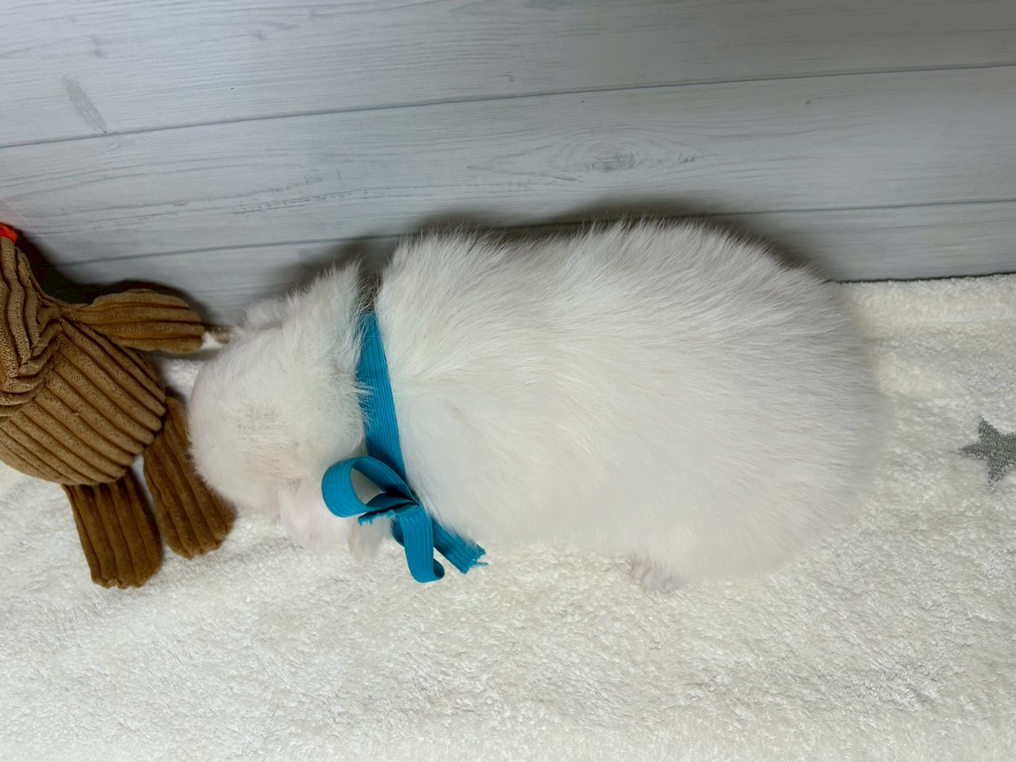 赤ちゃん写真2-3