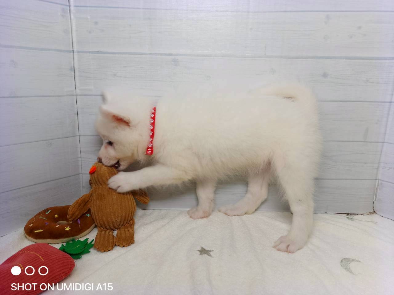 赤ちゃん写真3-2