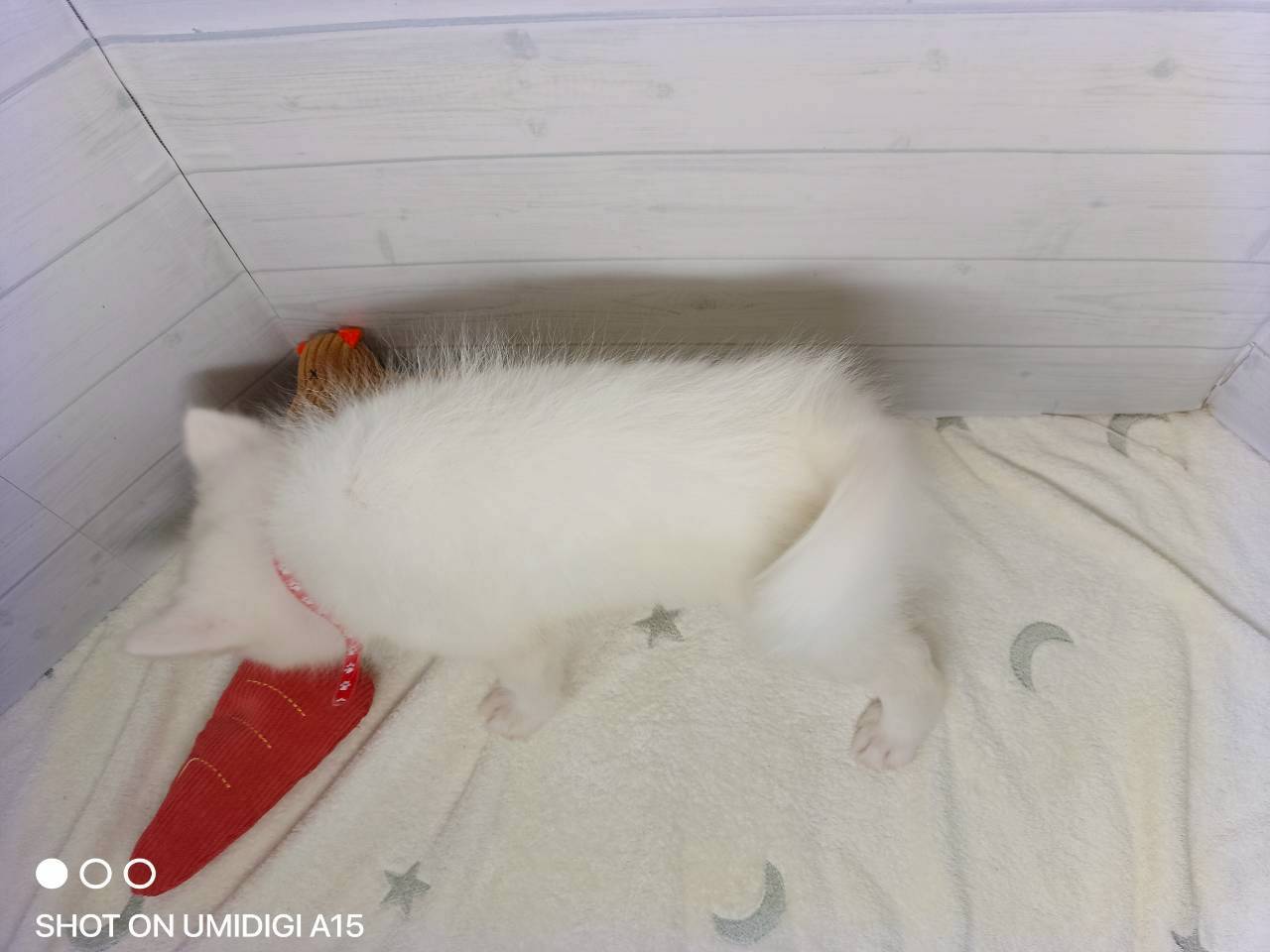 赤ちゃん写真3-3
