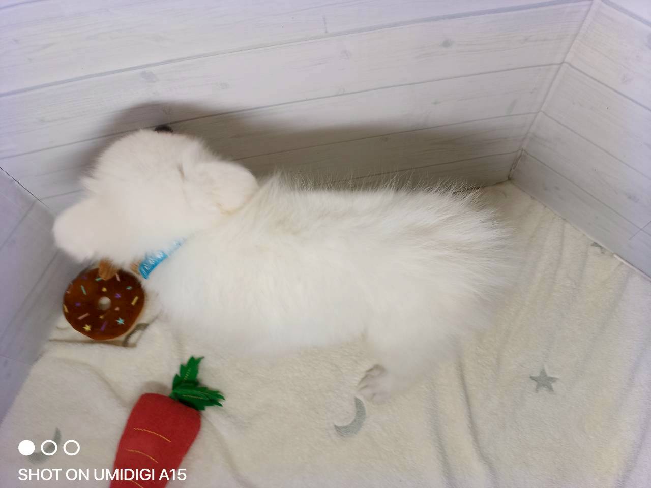 赤ちゃん写真3-3