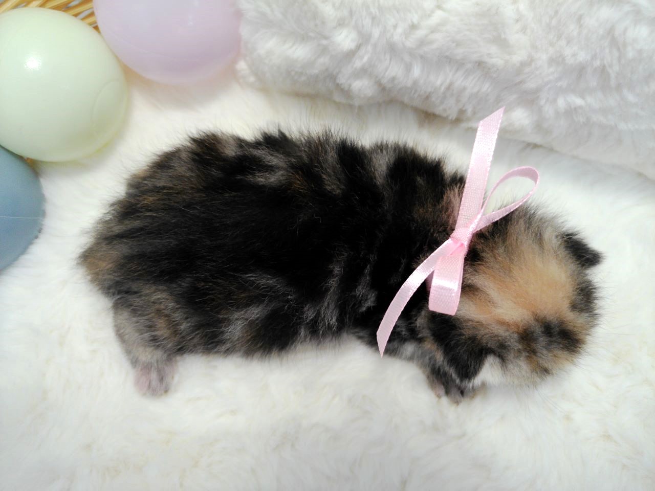 赤ちゃん写真1-3