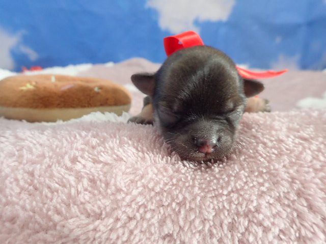 赤ちゃん写真1-1