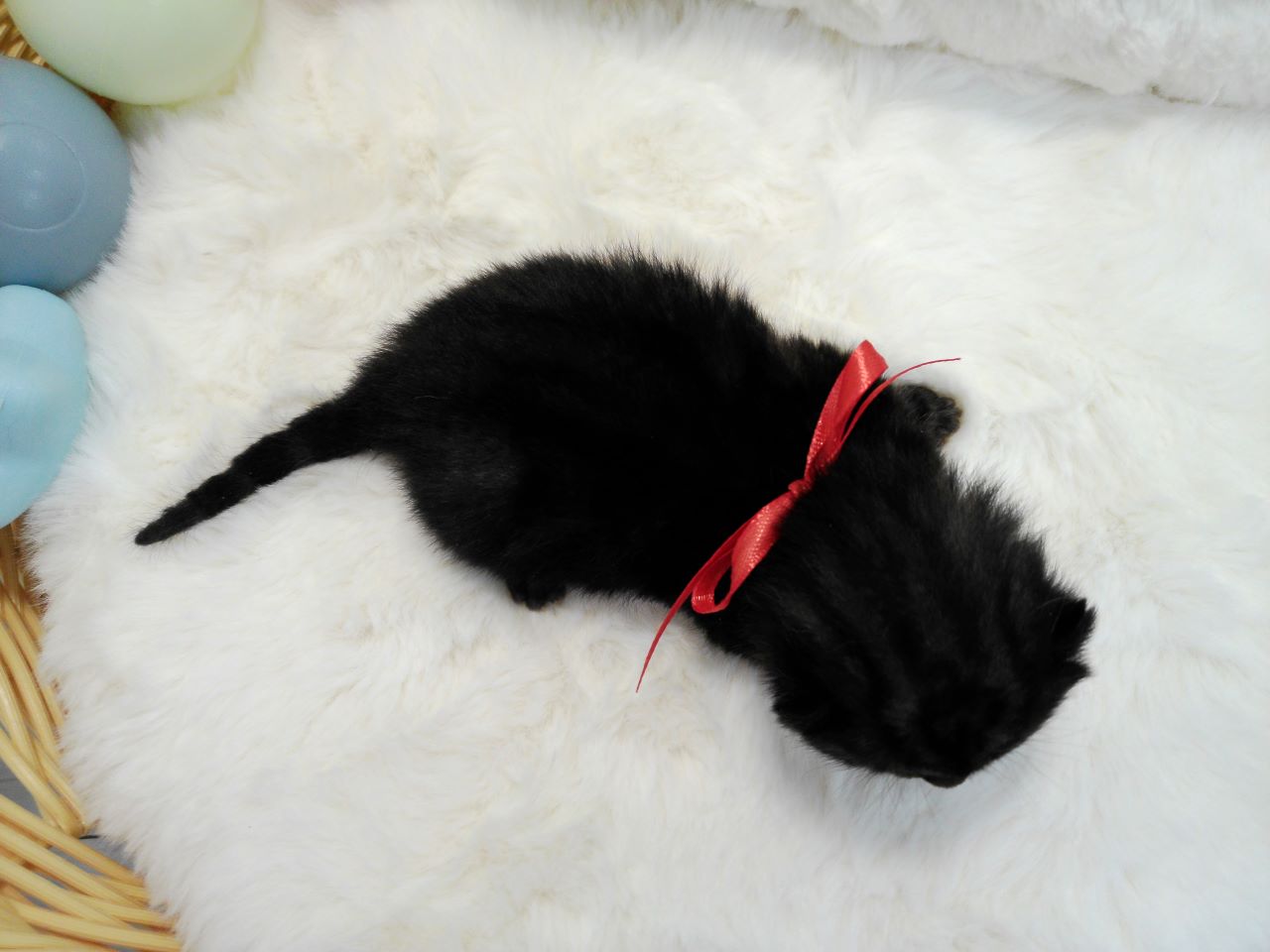 赤ちゃん写真1-3