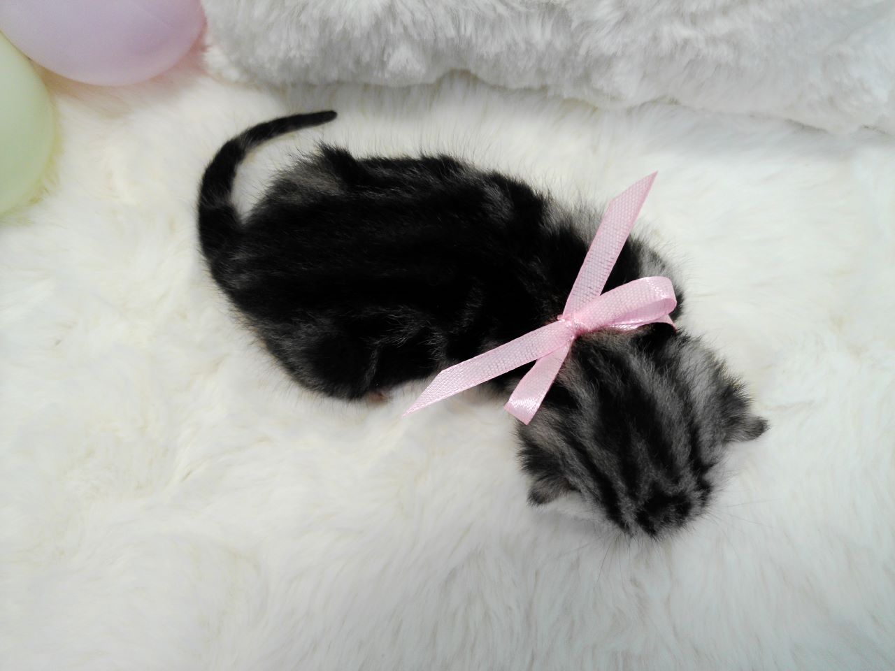 赤ちゃん写真1-3