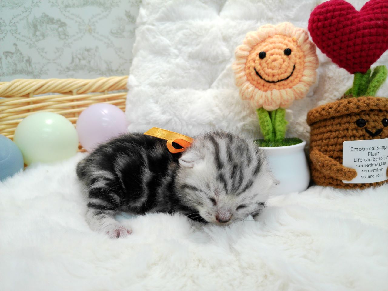 赤ちゃん写真1-2