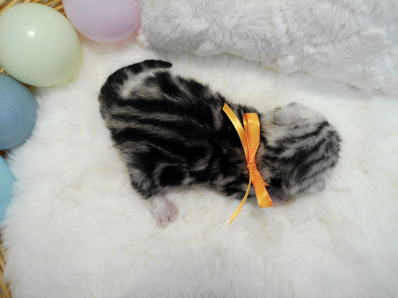 赤ちゃん写真1-3