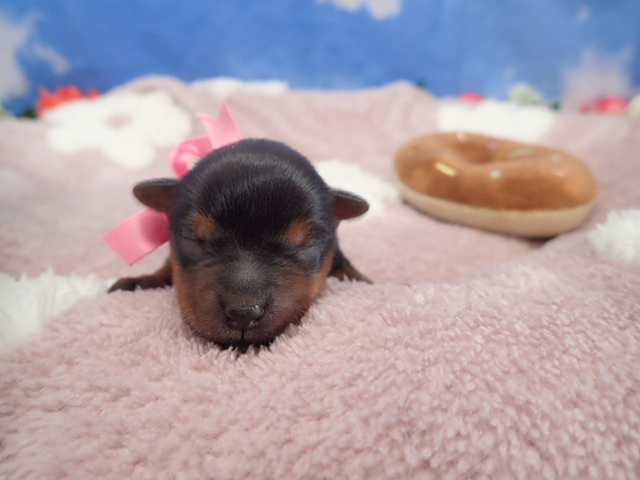 赤ちゃん写真1-1