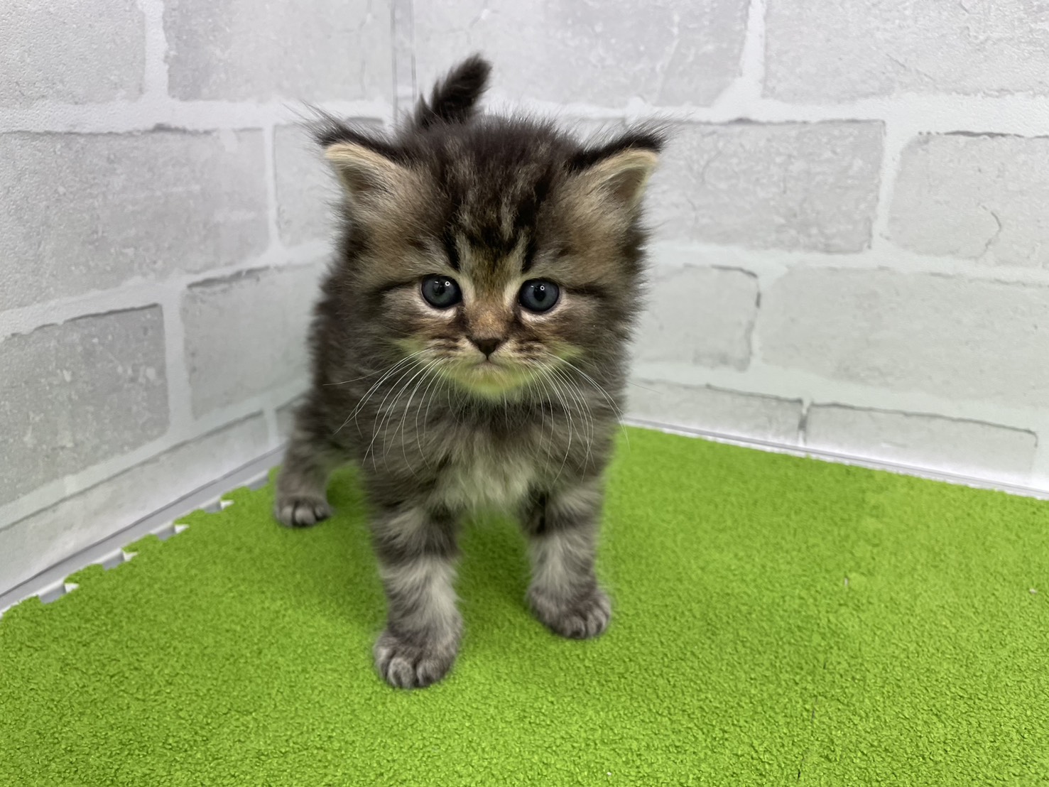 赤ちゃん写真2-1