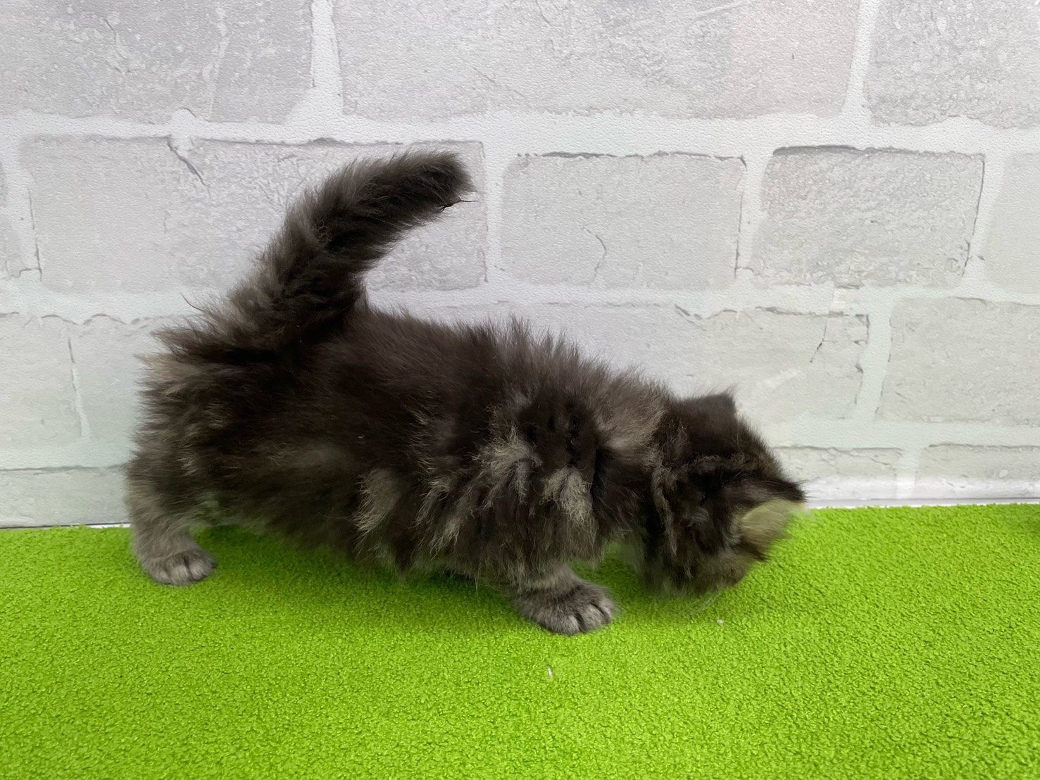 赤ちゃん写真2-2