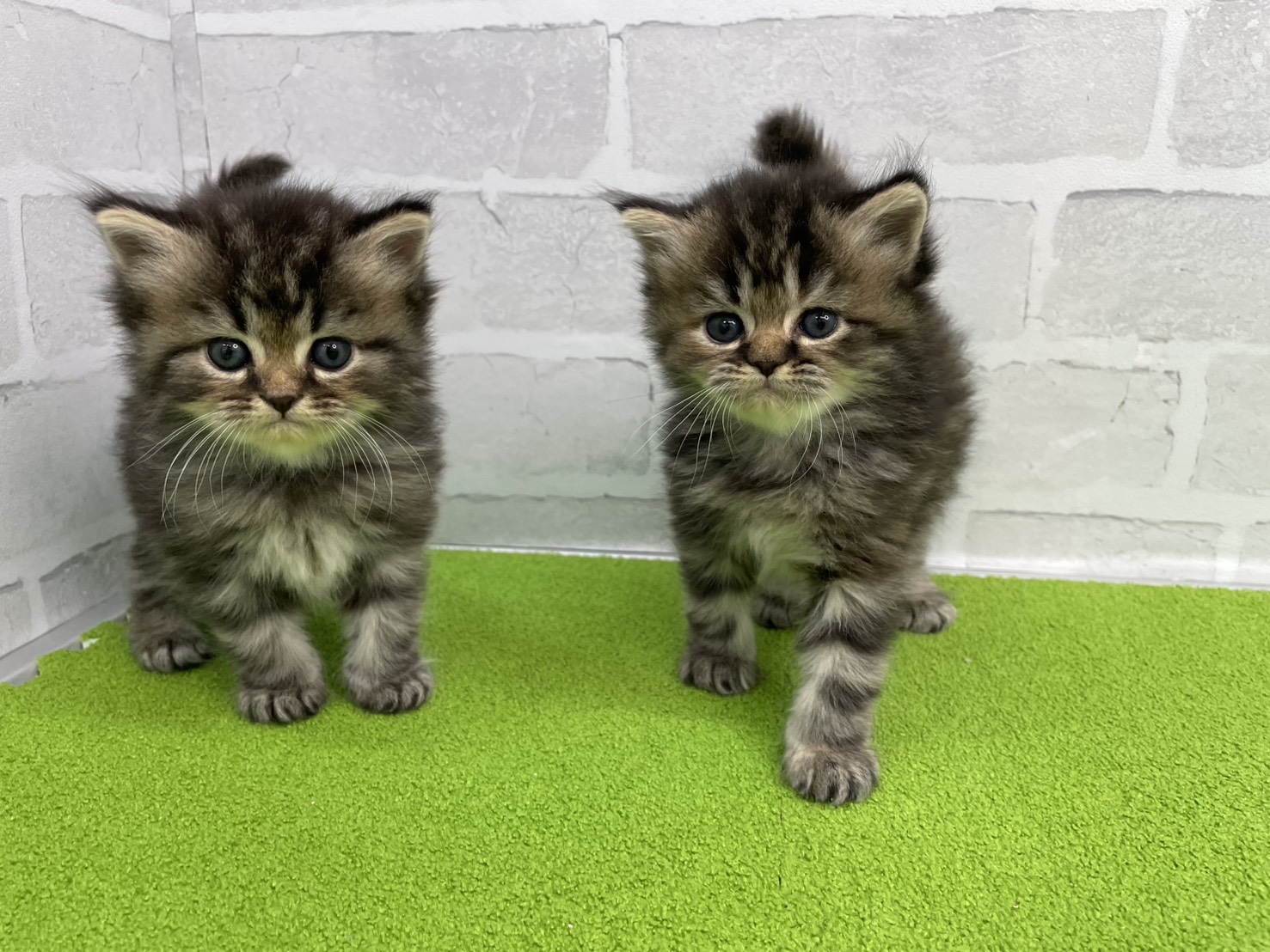 赤ちゃん写真2-3