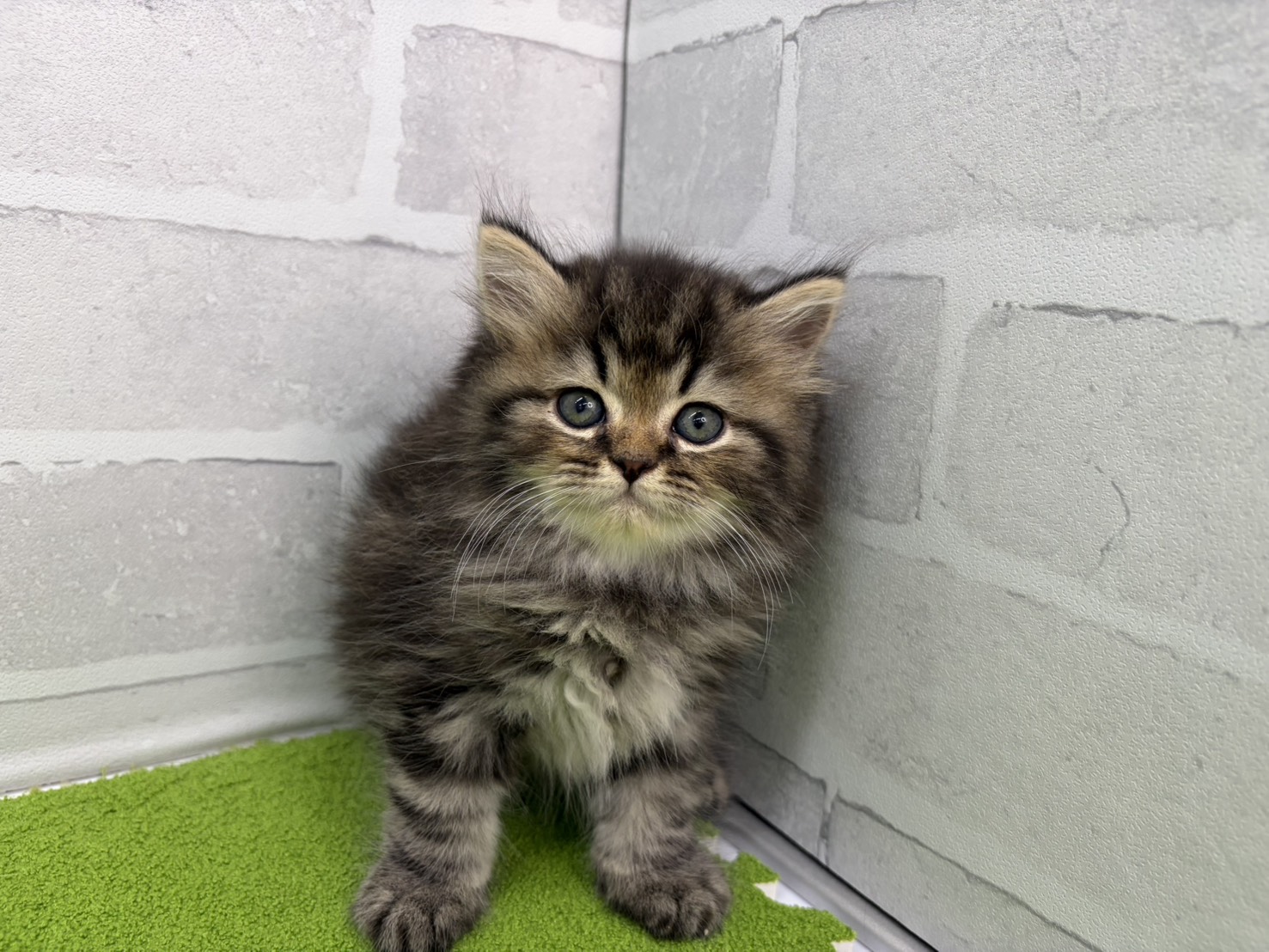 赤ちゃん写真3-1