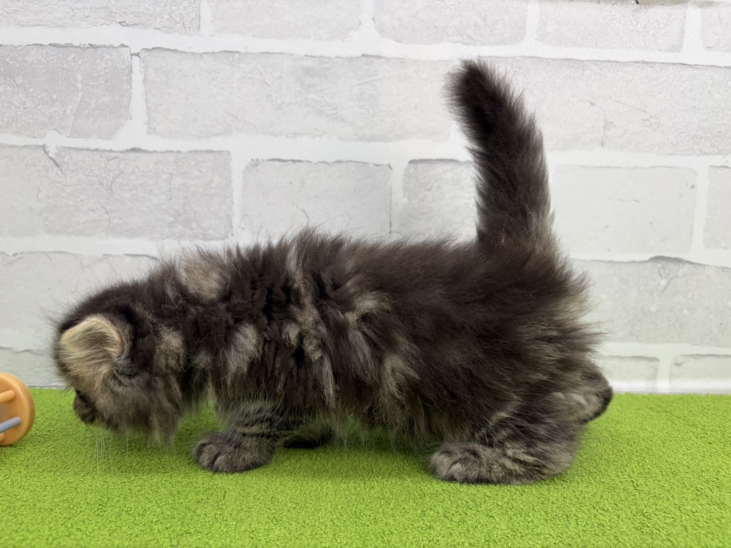 赤ちゃん写真3-2