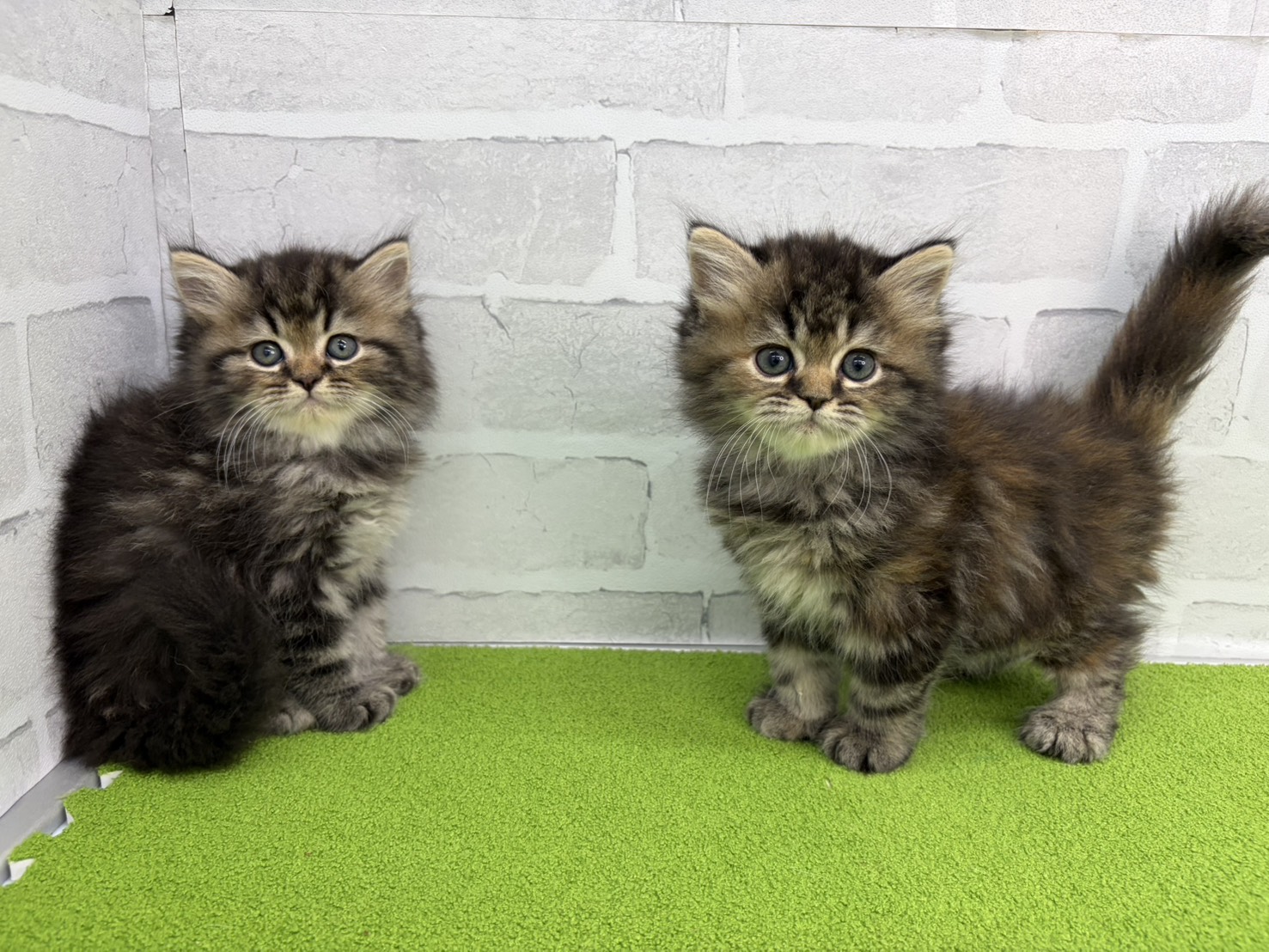 赤ちゃん写真3-3