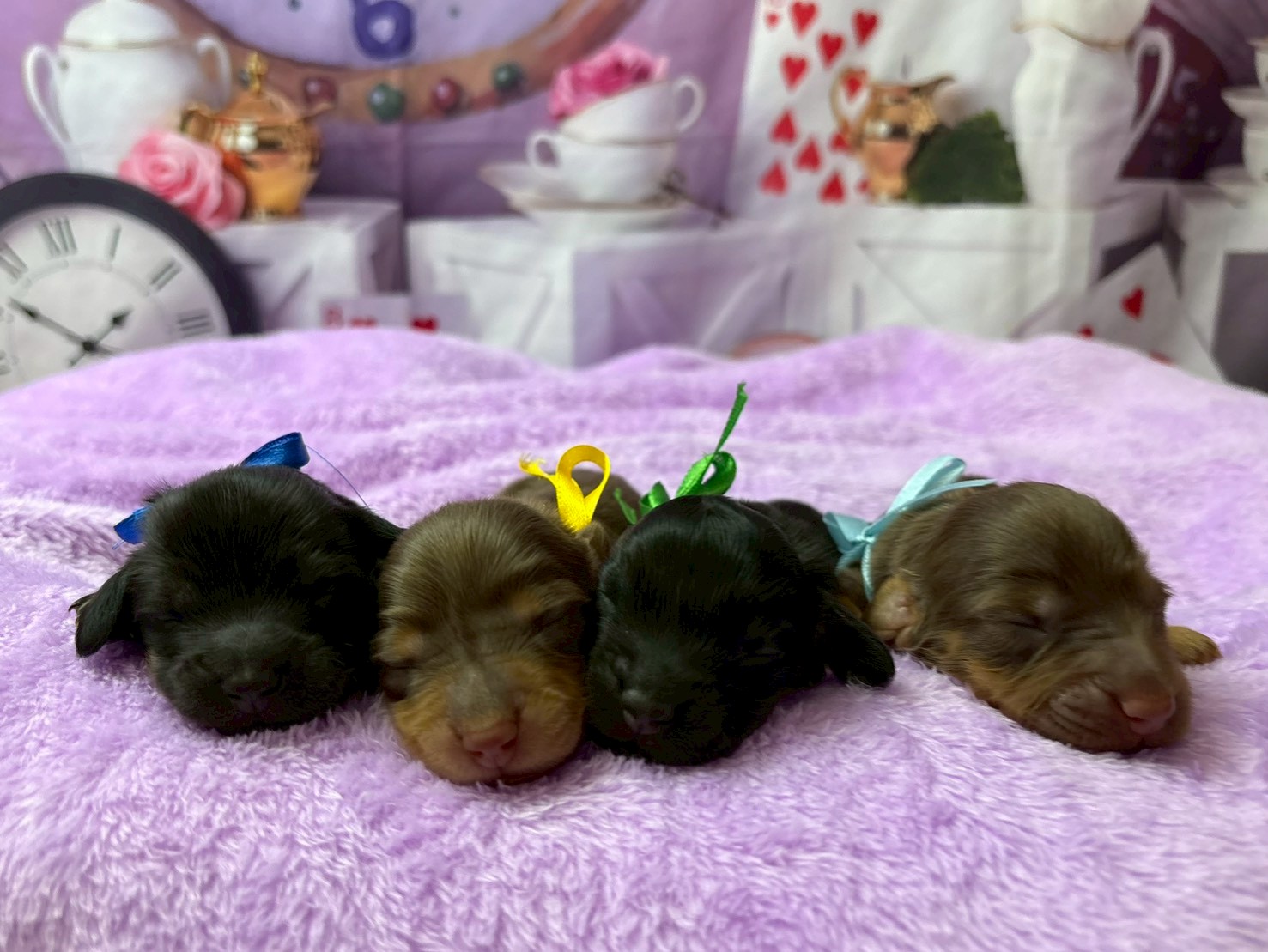 赤ちゃん写真1-3