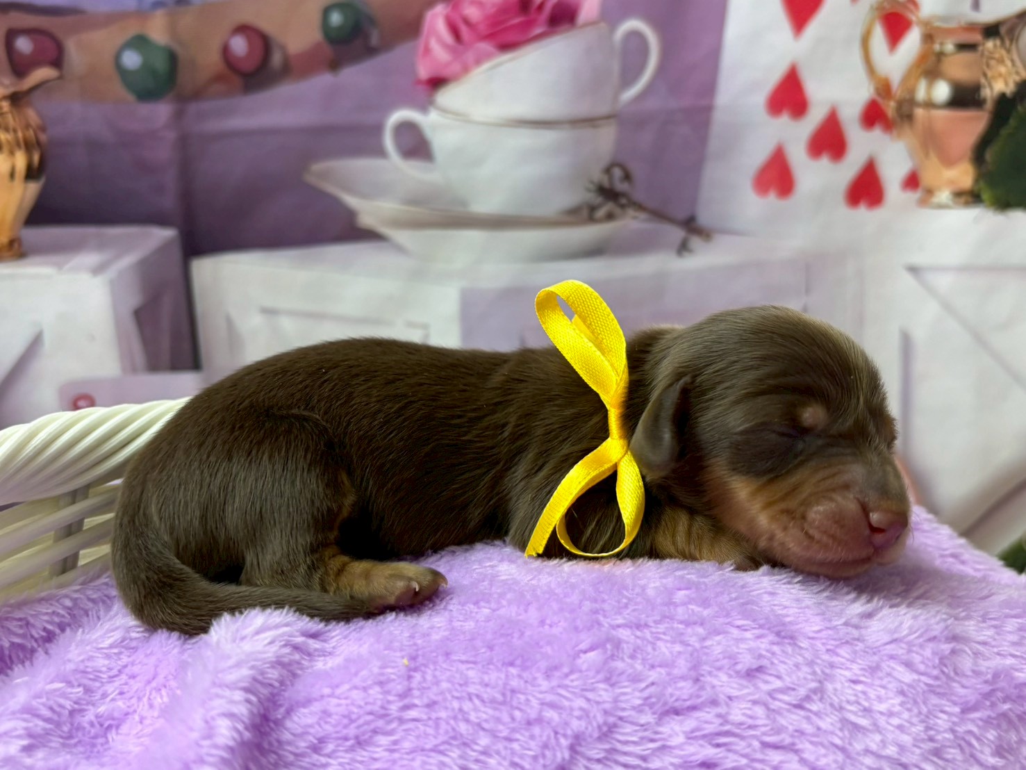 赤ちゃん写真1-2