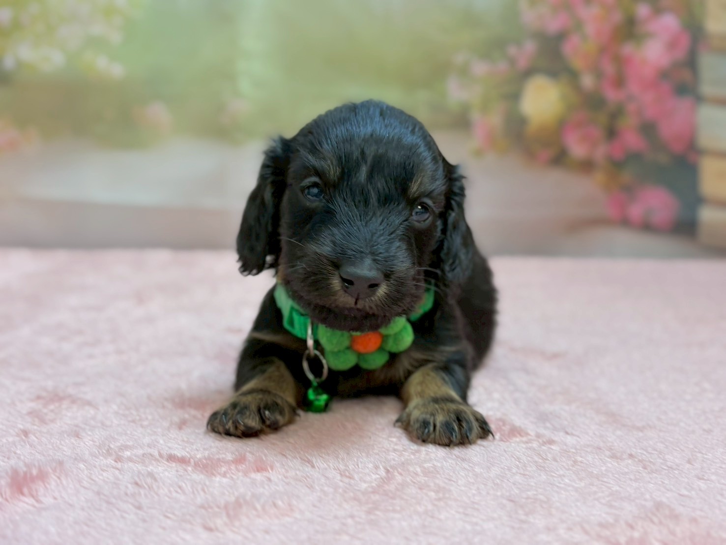 赤ちゃん写真2-1