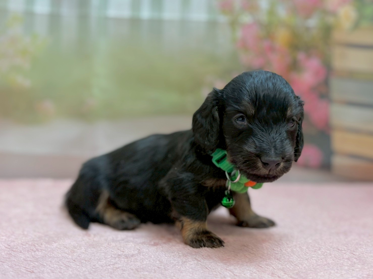 赤ちゃん写真2-2