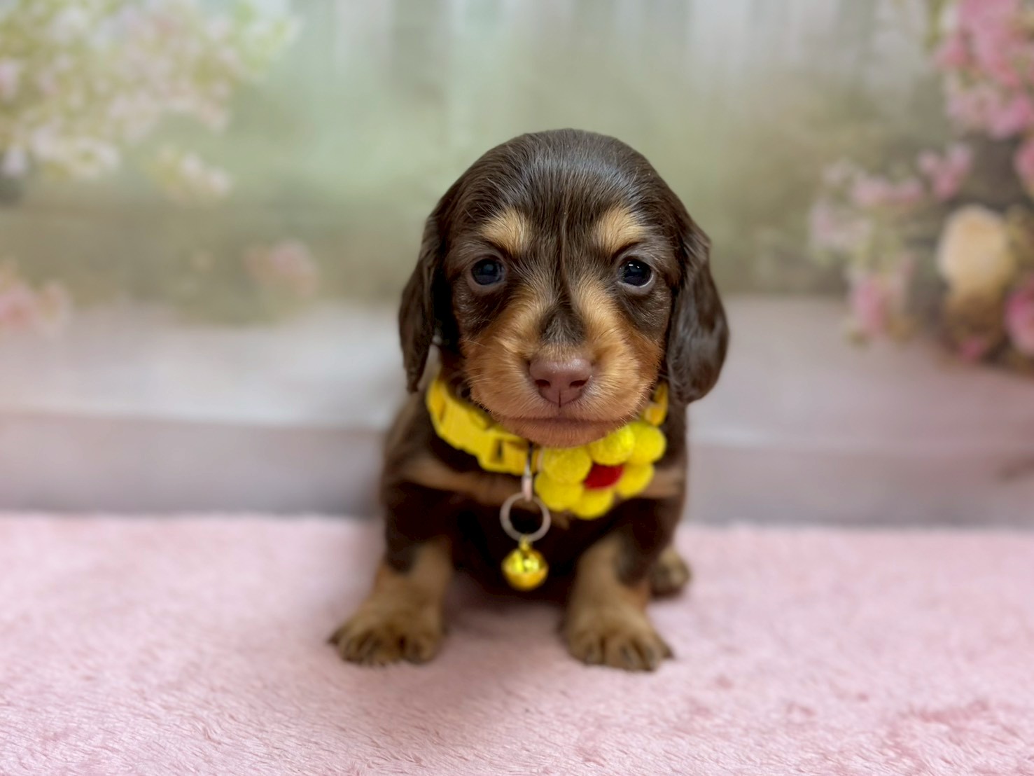 赤ちゃん写真2-1